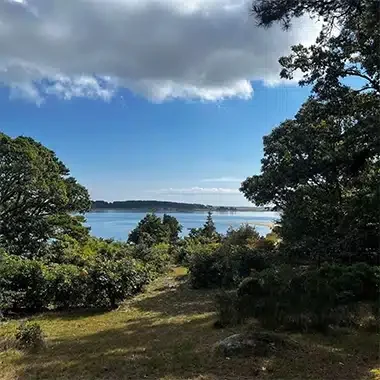 Scenic view of trees overlooking a coastal shoreline