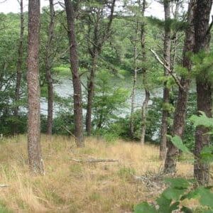 three ponds - trail