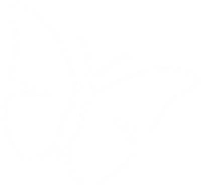 butterfly-icon