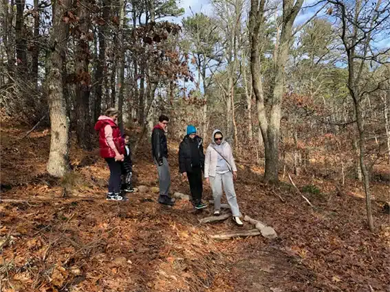 Five people walk on a trail that has wooden logs as stairs