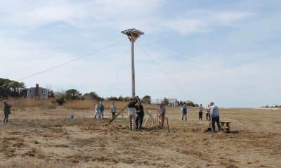 gallery-events-activities-00019