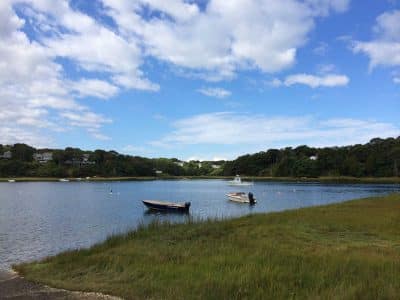 gallery-oct-town-lands-00001
