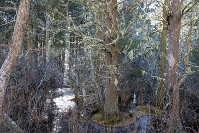 gallery-oct-town-lands-00004