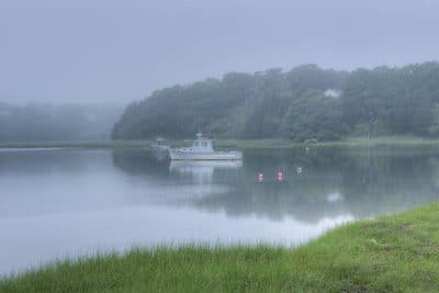Mill Pond Valley, Orleans Conservation Trust, MA