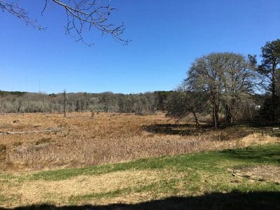 gallery-oct-town-lands-00015