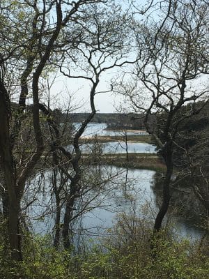 gallery-oct-town-lands-00026