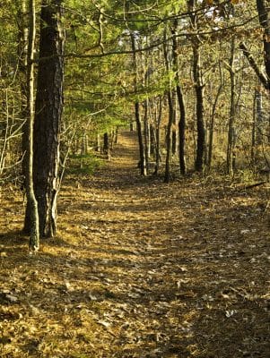 gallery-oct-town-lands-00028