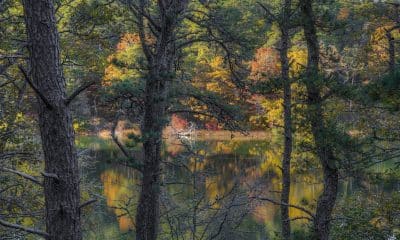 Sarah's Pond, Orleans Conservation Trust, MA