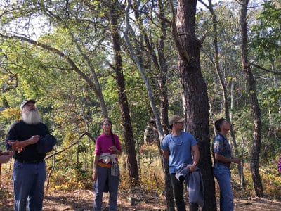 gallery-oct-walks-00008