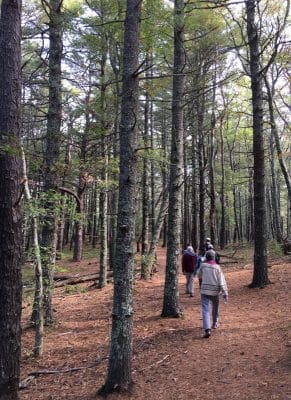 John Kenrick Woods - Walk
