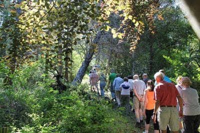gallery-oct-walks-00016