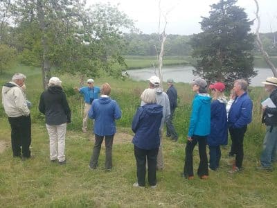 gallery-oct-walks-00017