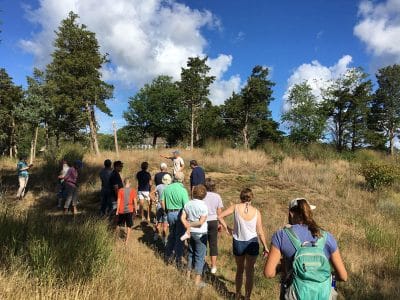gallery-oct-walks-00019