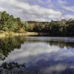 Meadow Bog Pond - Trail