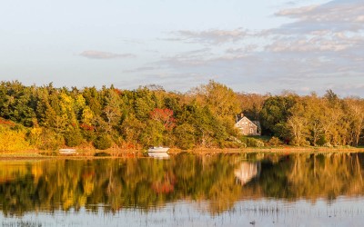 mill pond vallery gallery - trail