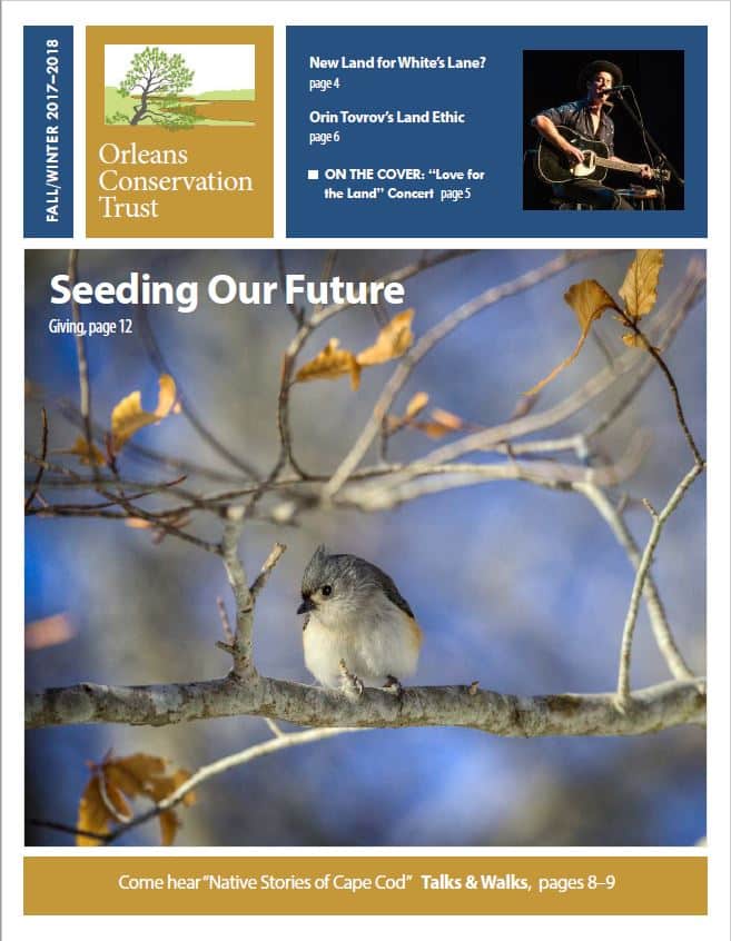 Newsletter 2017 Fall Winter - cover