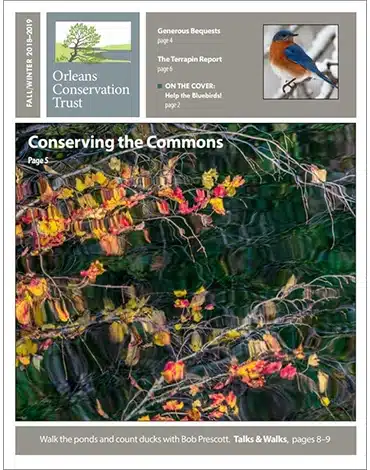 Fall/Winter 2018–19 Orleans Conservation Trust newsletter cover