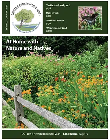 Orleans Conservation Trust Spring/Summer 2024 newsletter cover page