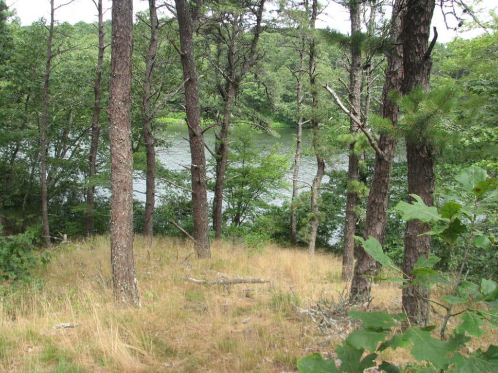 three ponds - trail