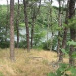 three ponds - trail
