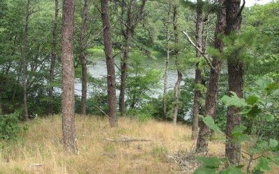 three ponds - trail