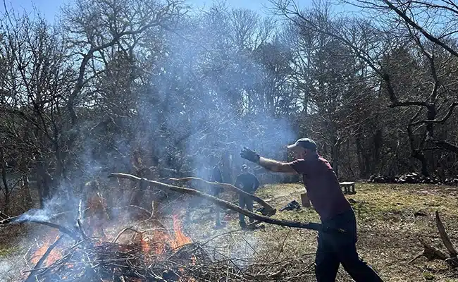 Pile Burn - Twinings, March (2)